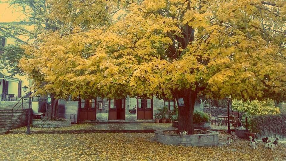 Villa Armonia Neochori  Eksteriør bilde